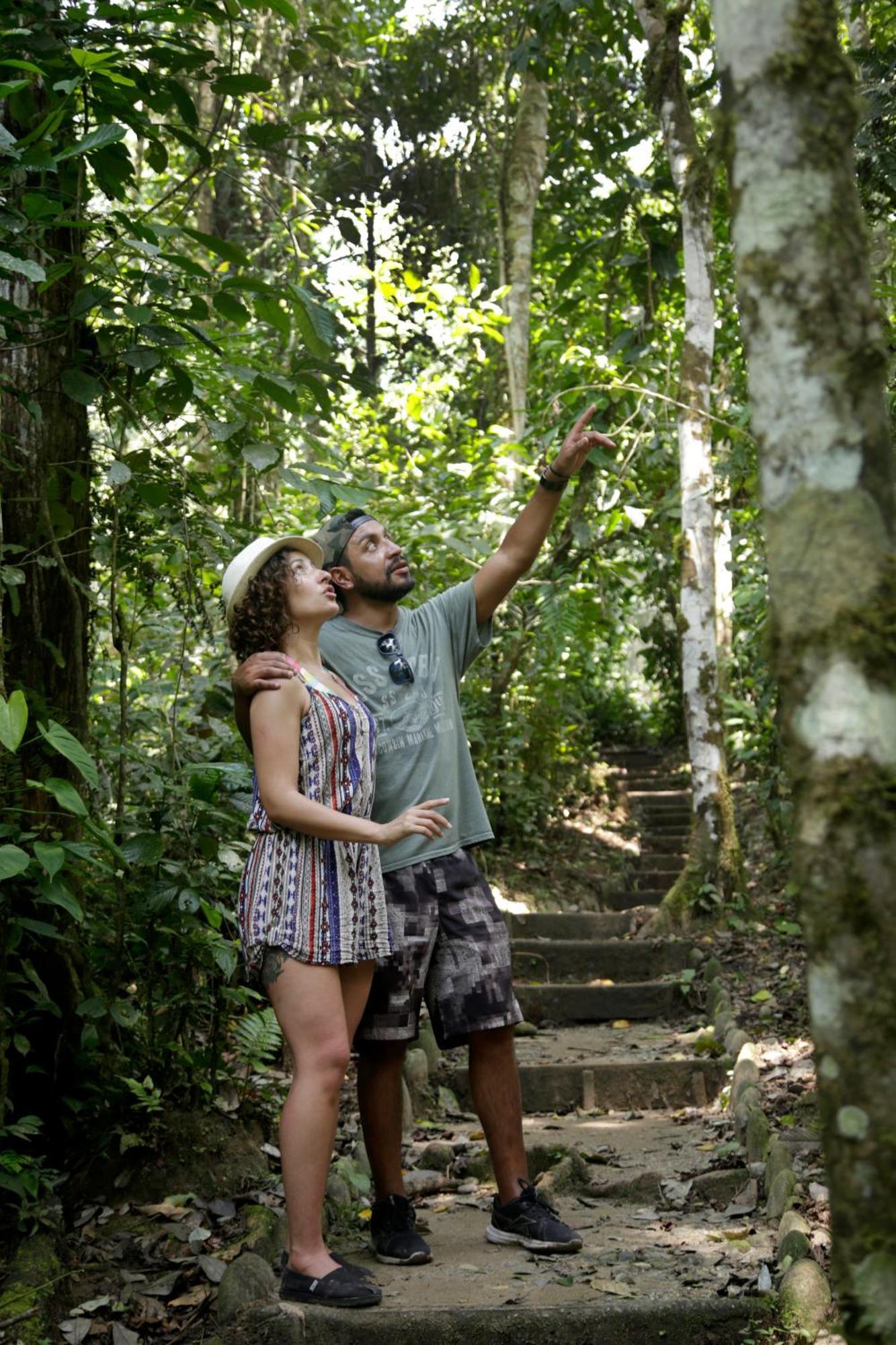 Misahualli Amazon Lodge Εξωτερικό φωτογραφία